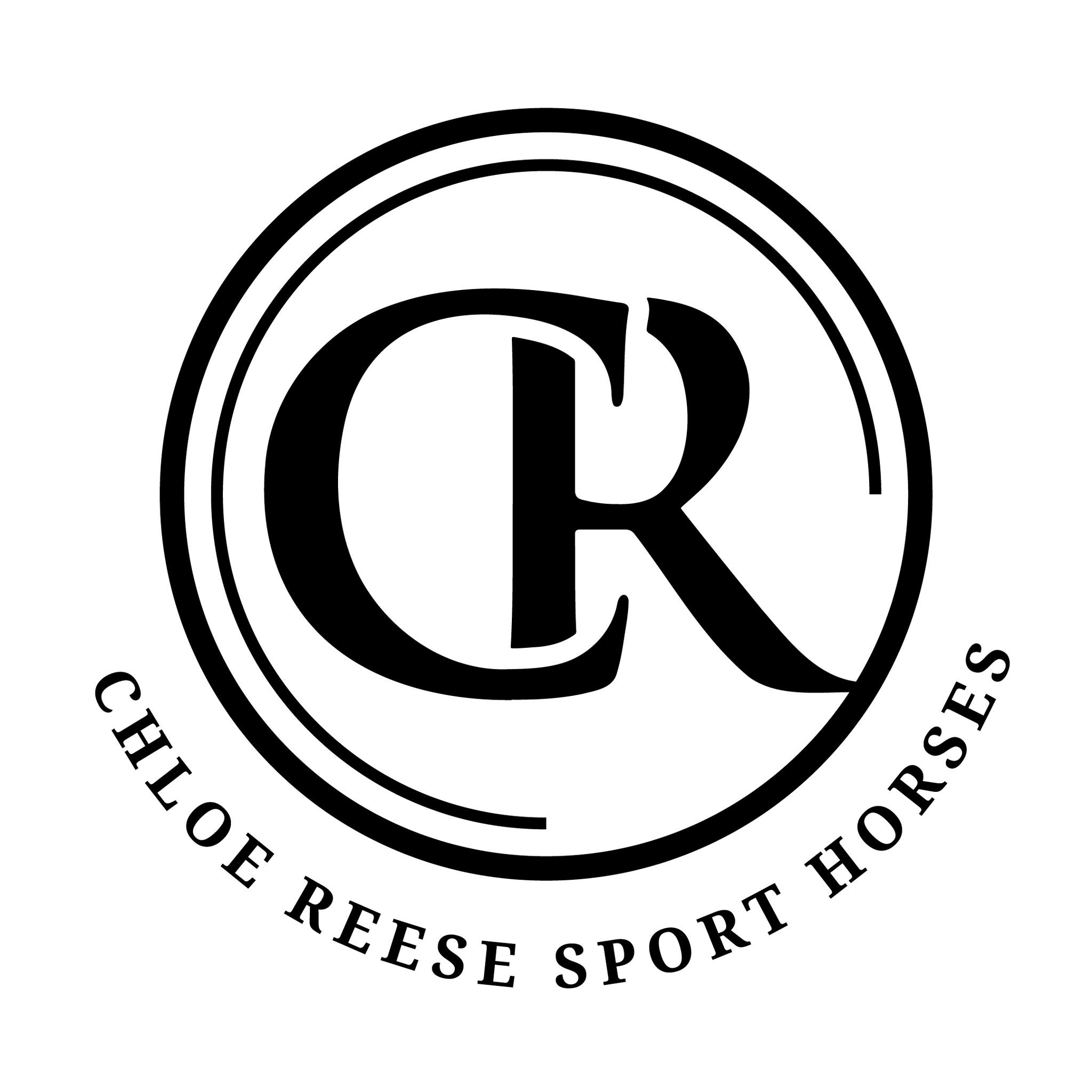 Sponsor